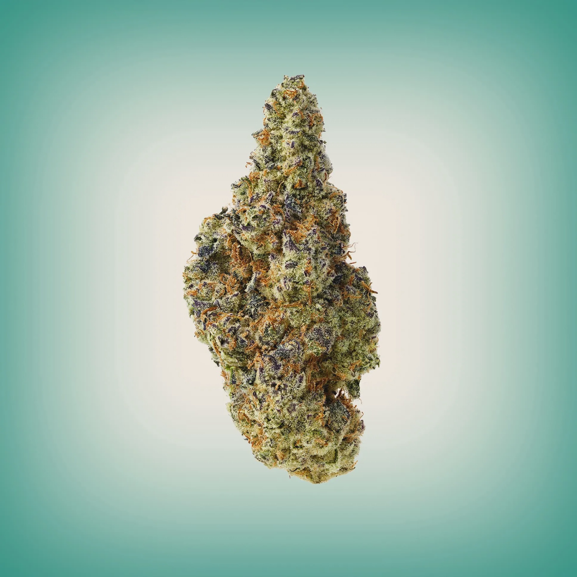 MOOD THCA Flower Top Shelf 8th / Dante's Inferno Indica Hybrid